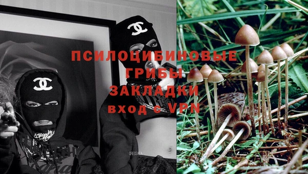 MDMA Кукмор