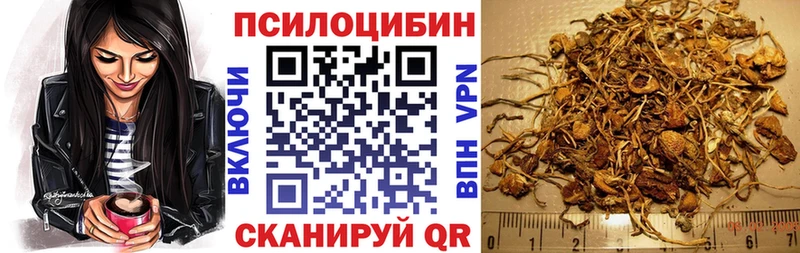 Псилоцибиновые грибы Psilocybine cubensis  где купить   блэк спрут рабочий сайт  Ладушкин 